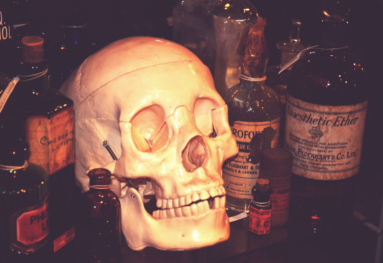 11__skull