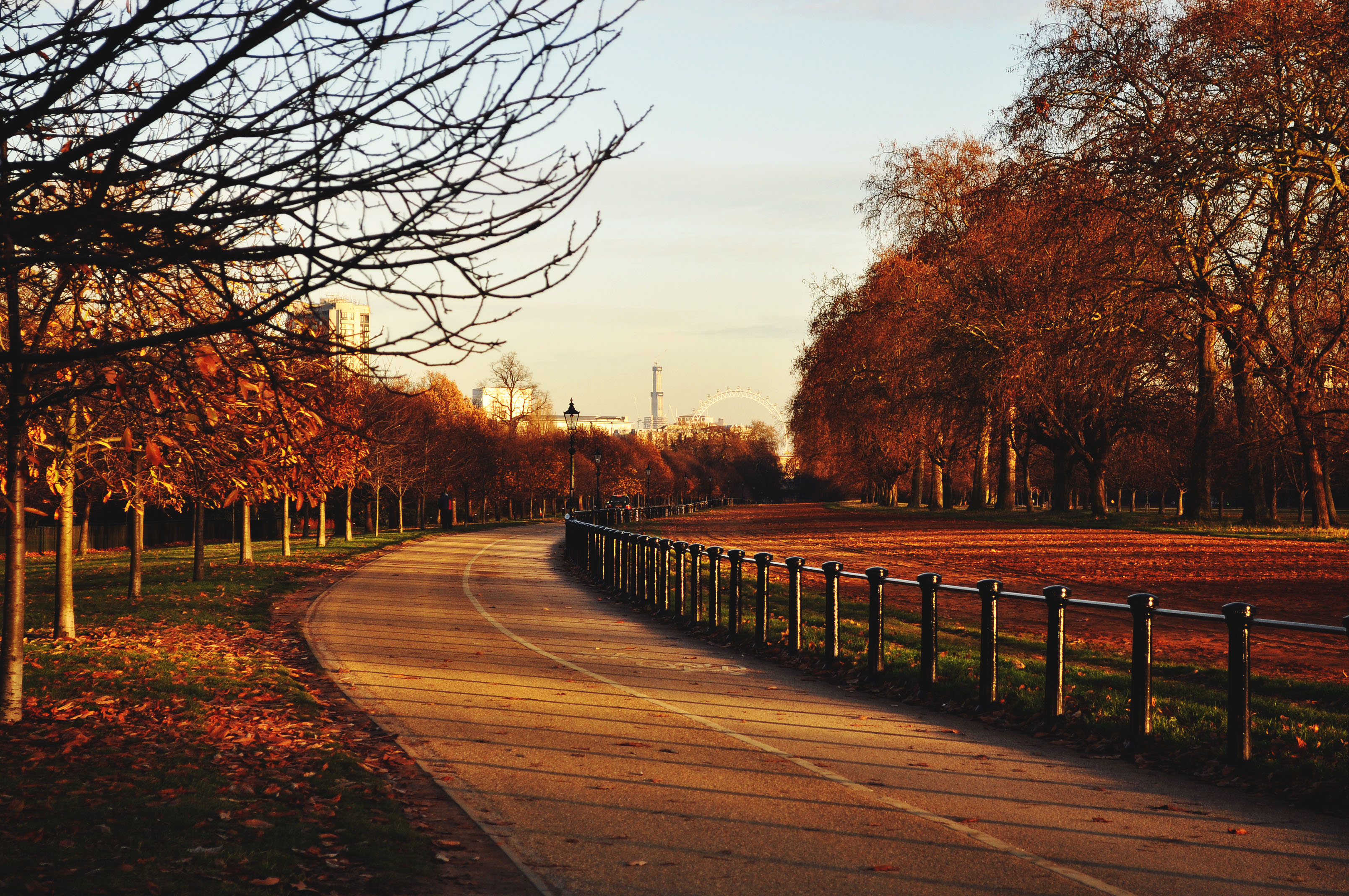 18_autumn-in-hyde-park