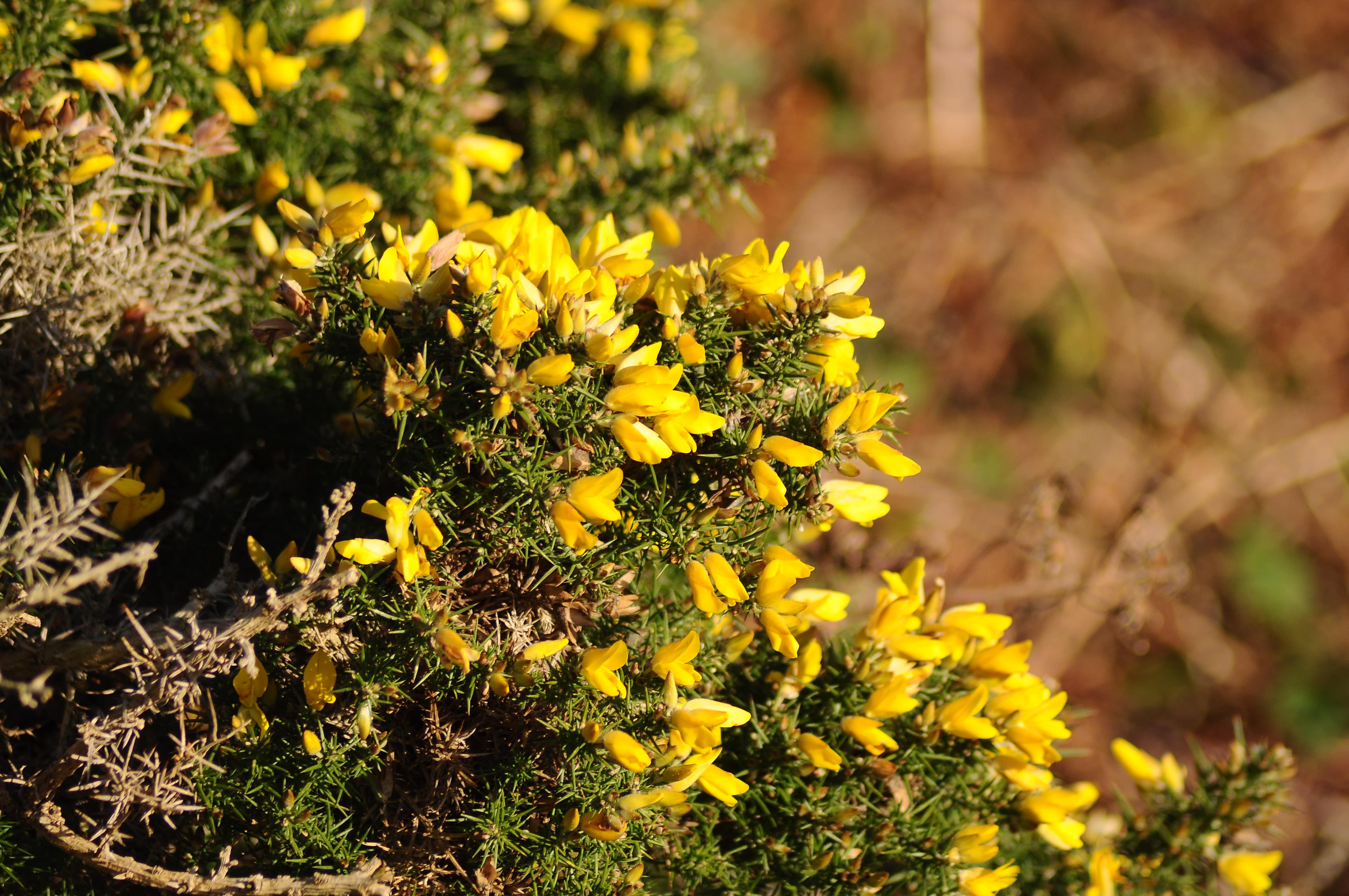 Raluca Turcanasu_Tour of the Dublin Mountains_ (1)