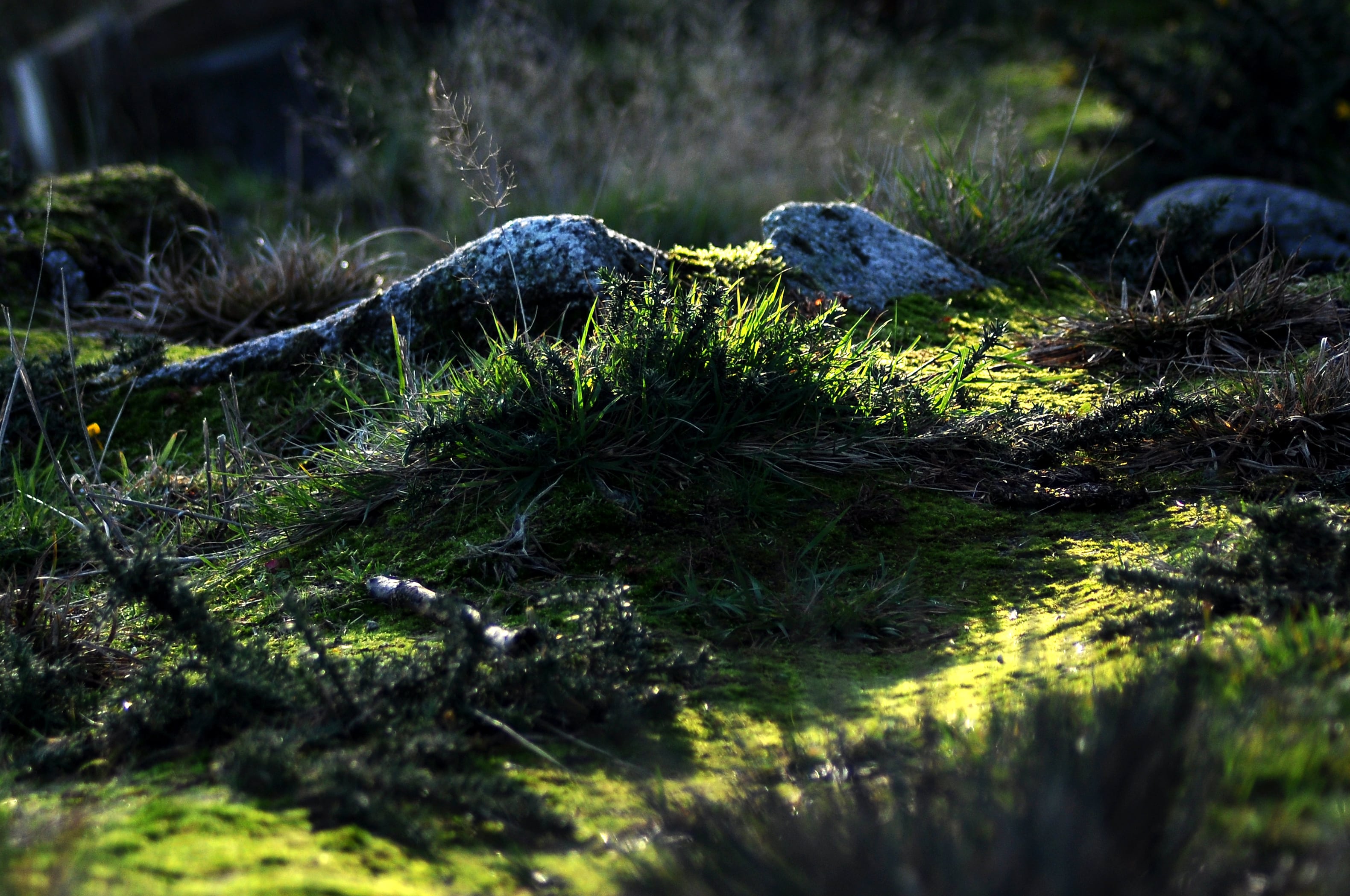 Raluca Turcanasu_Tour of the Dublin Mountains_ (11)