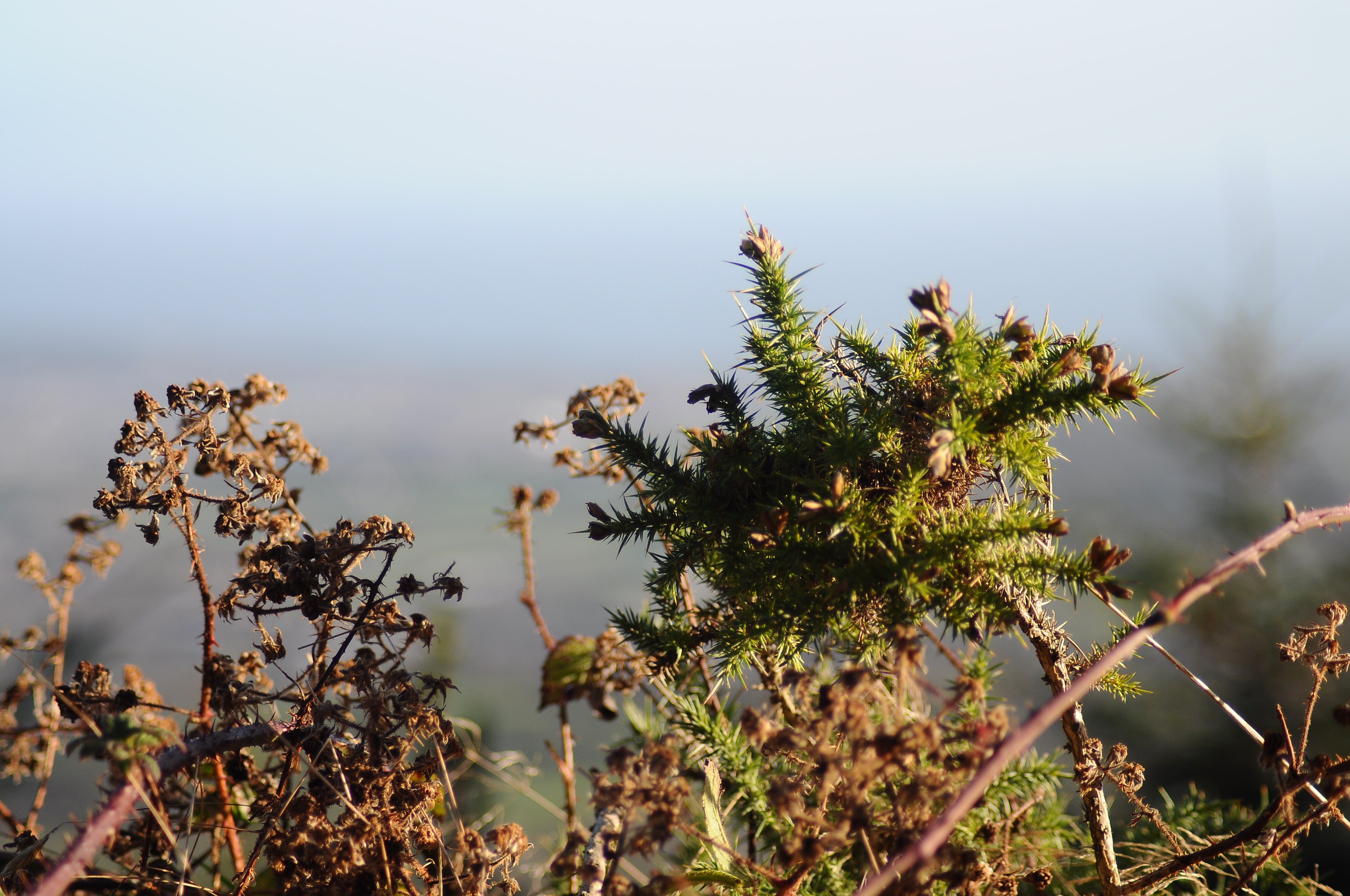 Raluca Turcanasu_Tour of the Dublin Mountains_ (13)