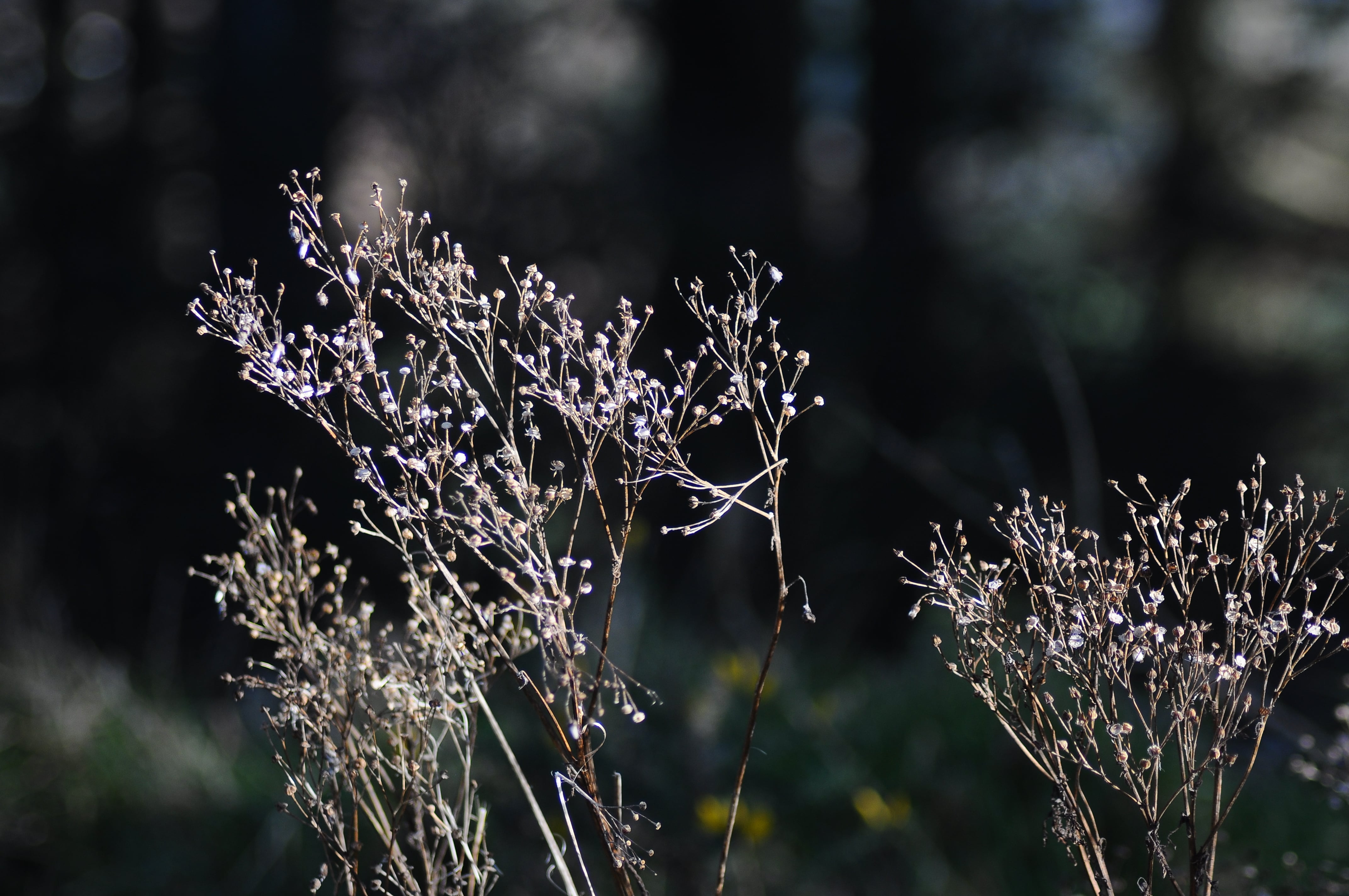 Raluca Turcanasu_Tour of the Dublin Mountains_ (16)