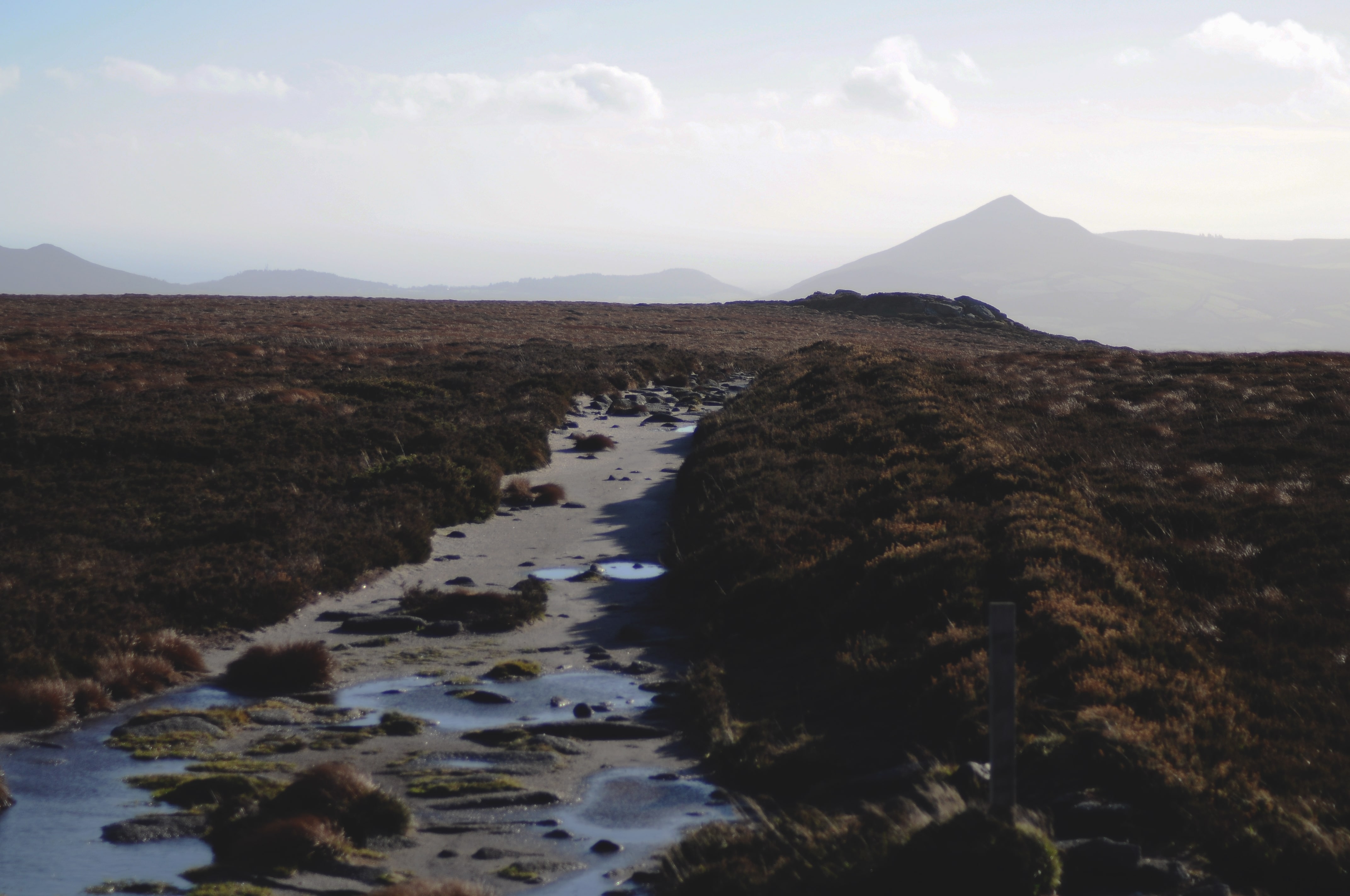 Raluca Turcanasu_Tour of the Dublin Mountains_ (26)