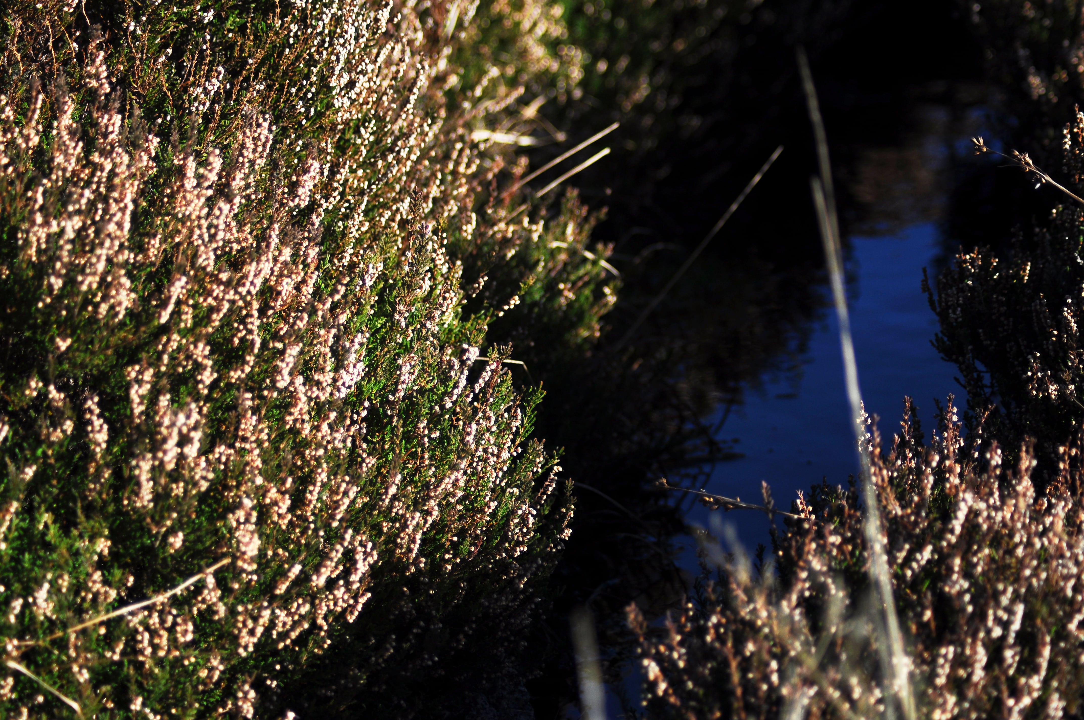 Raluca Turcanasu_Tour of the Dublin Mountains_ (28)