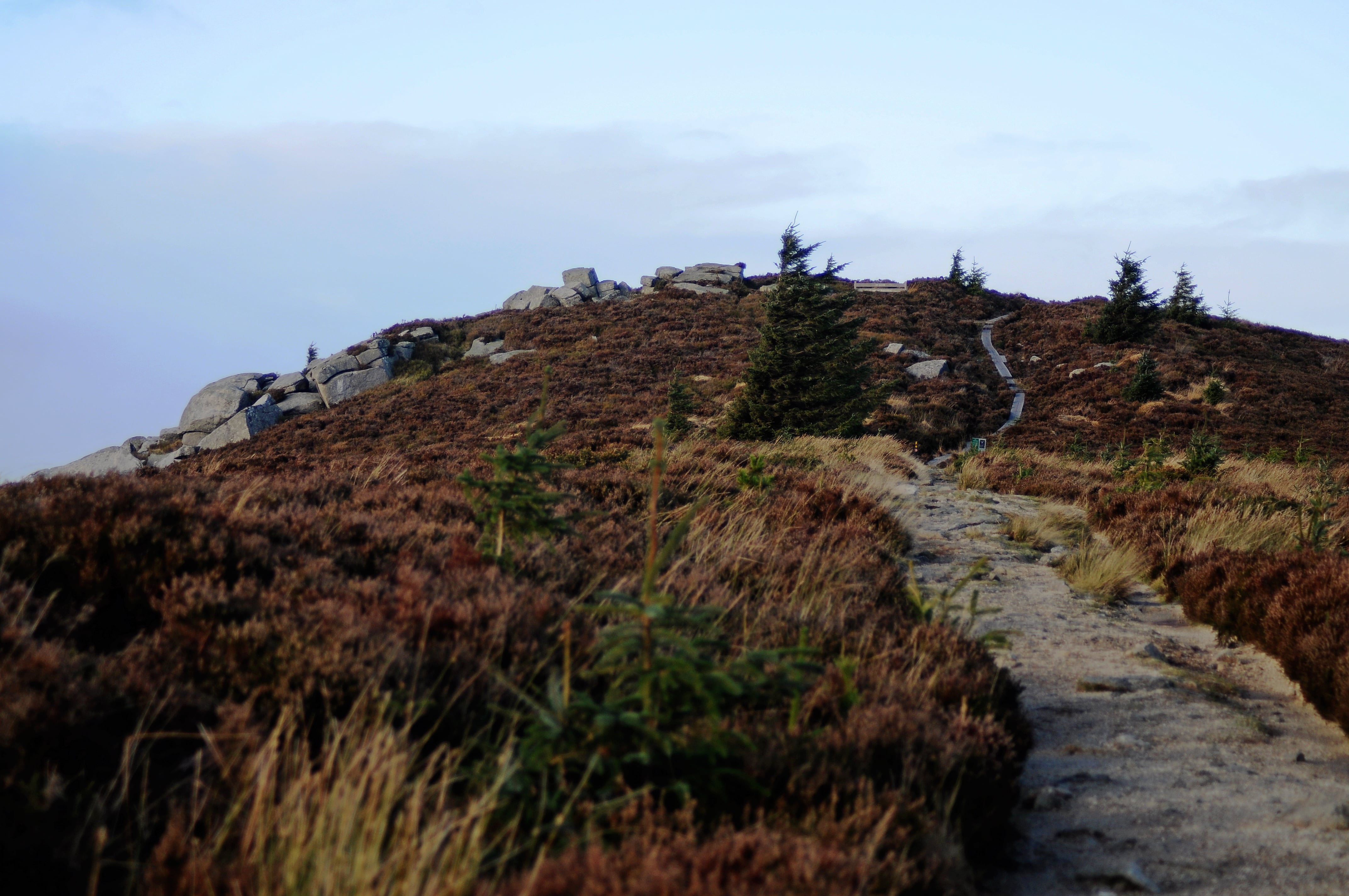 Raluca Turcanasu_Tour of the Dublin Mountains_ (32)