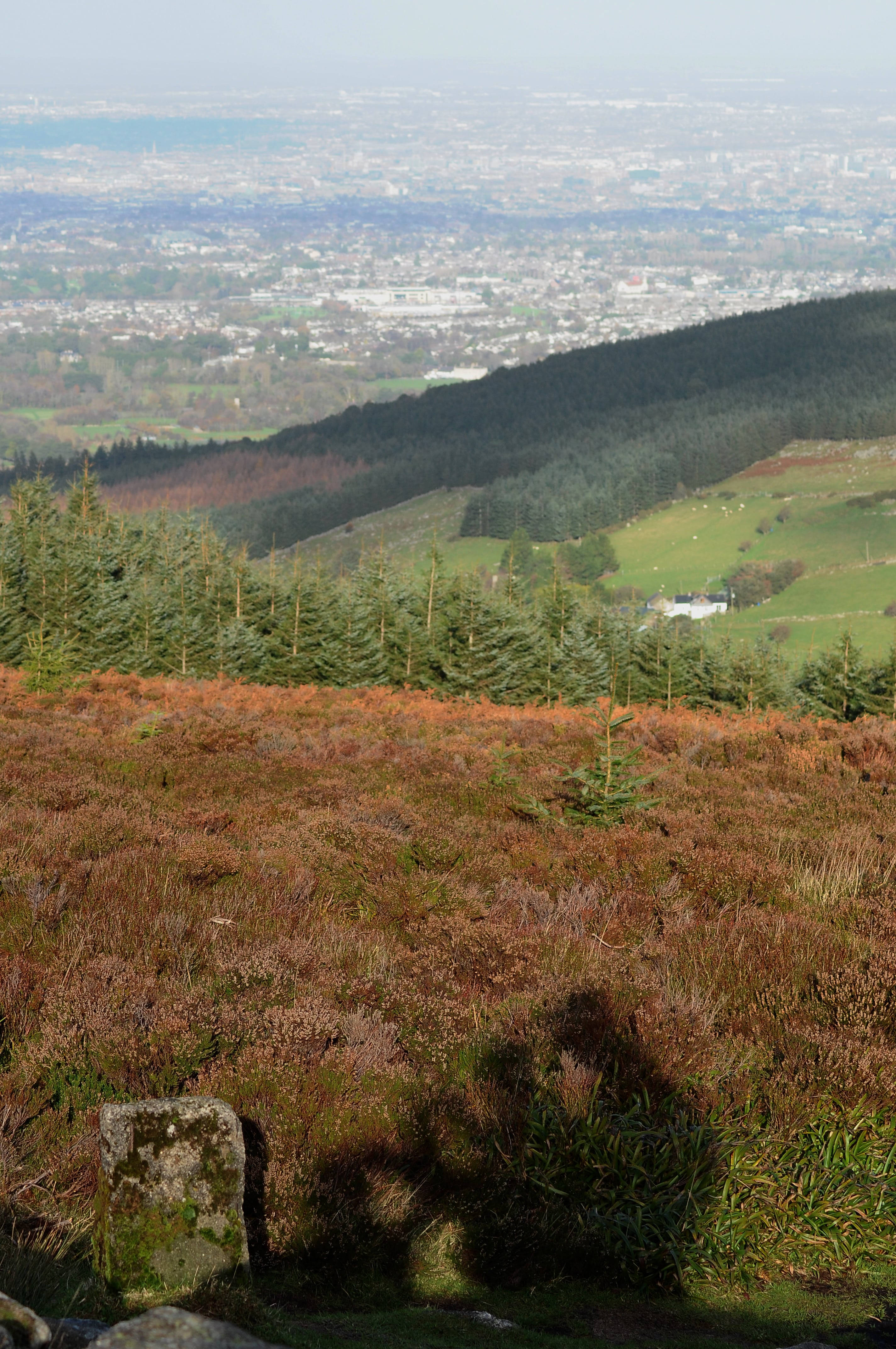 Raluca Turcanasu_Tour of the Dublin Mountains_ (33)