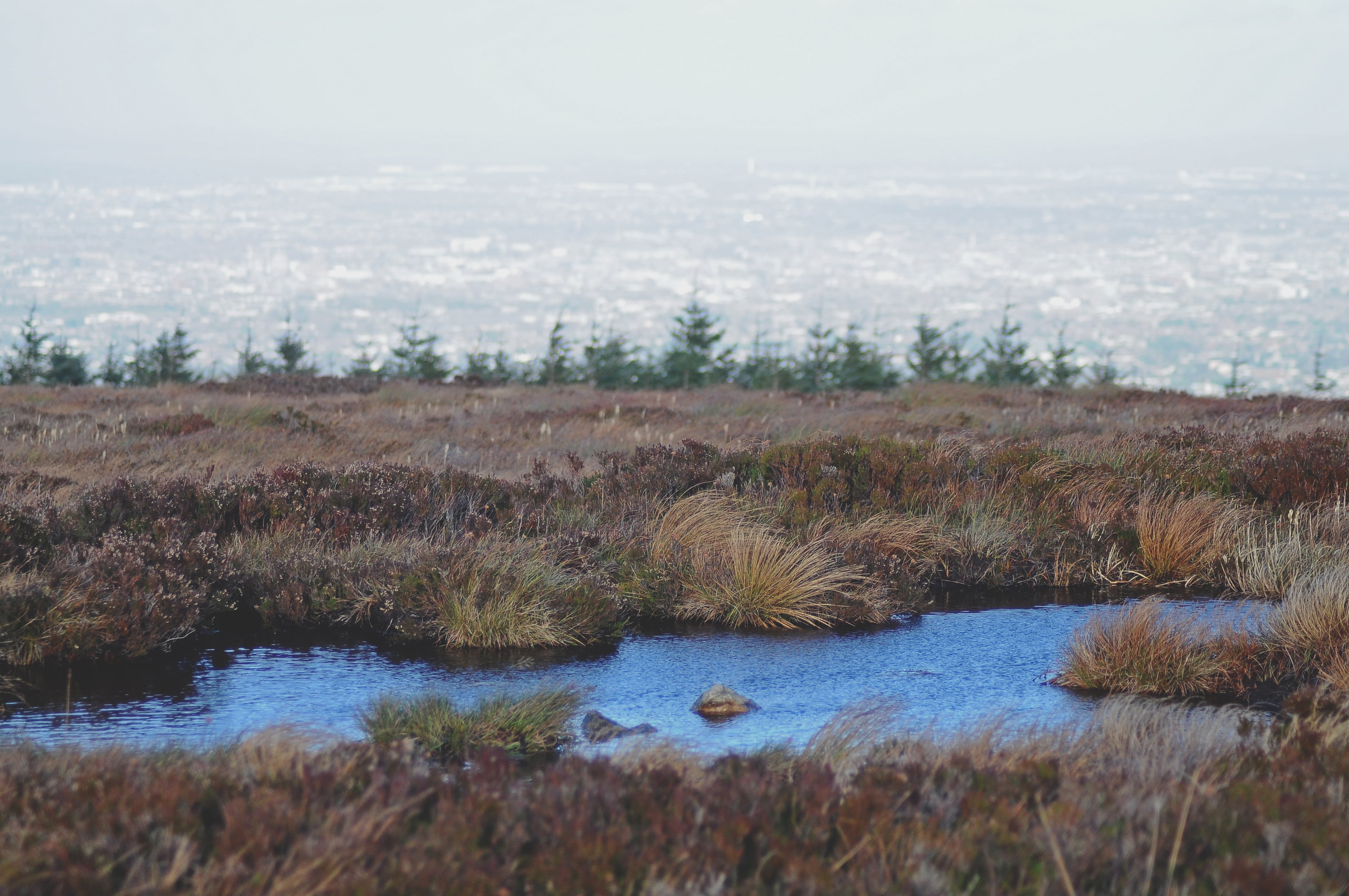 Raluca Turcanasu_Tour of the Dublin Mountains_ (35)