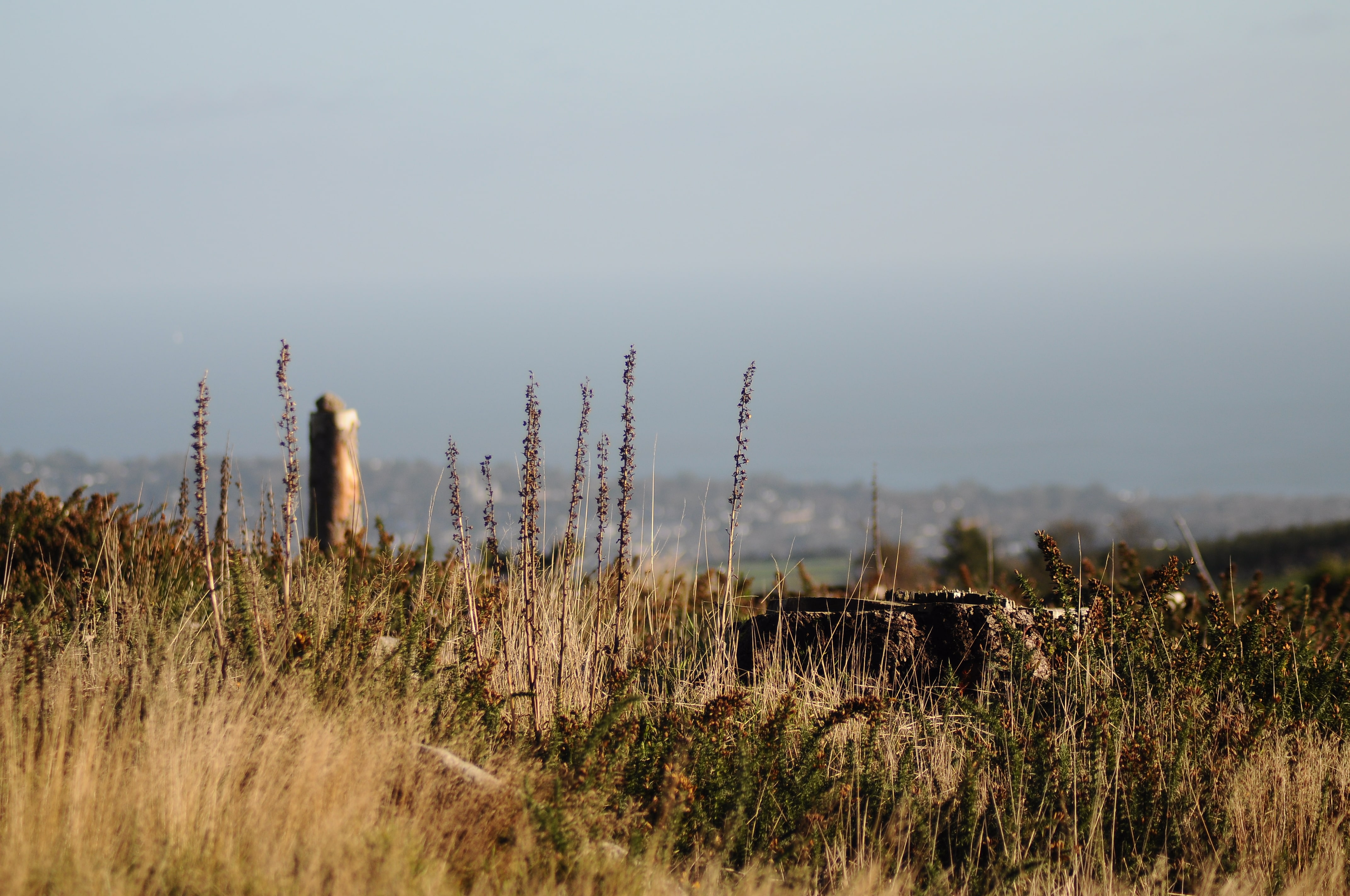 Raluca Turcanasu_Tour of the Dublin Mountains_ (9)