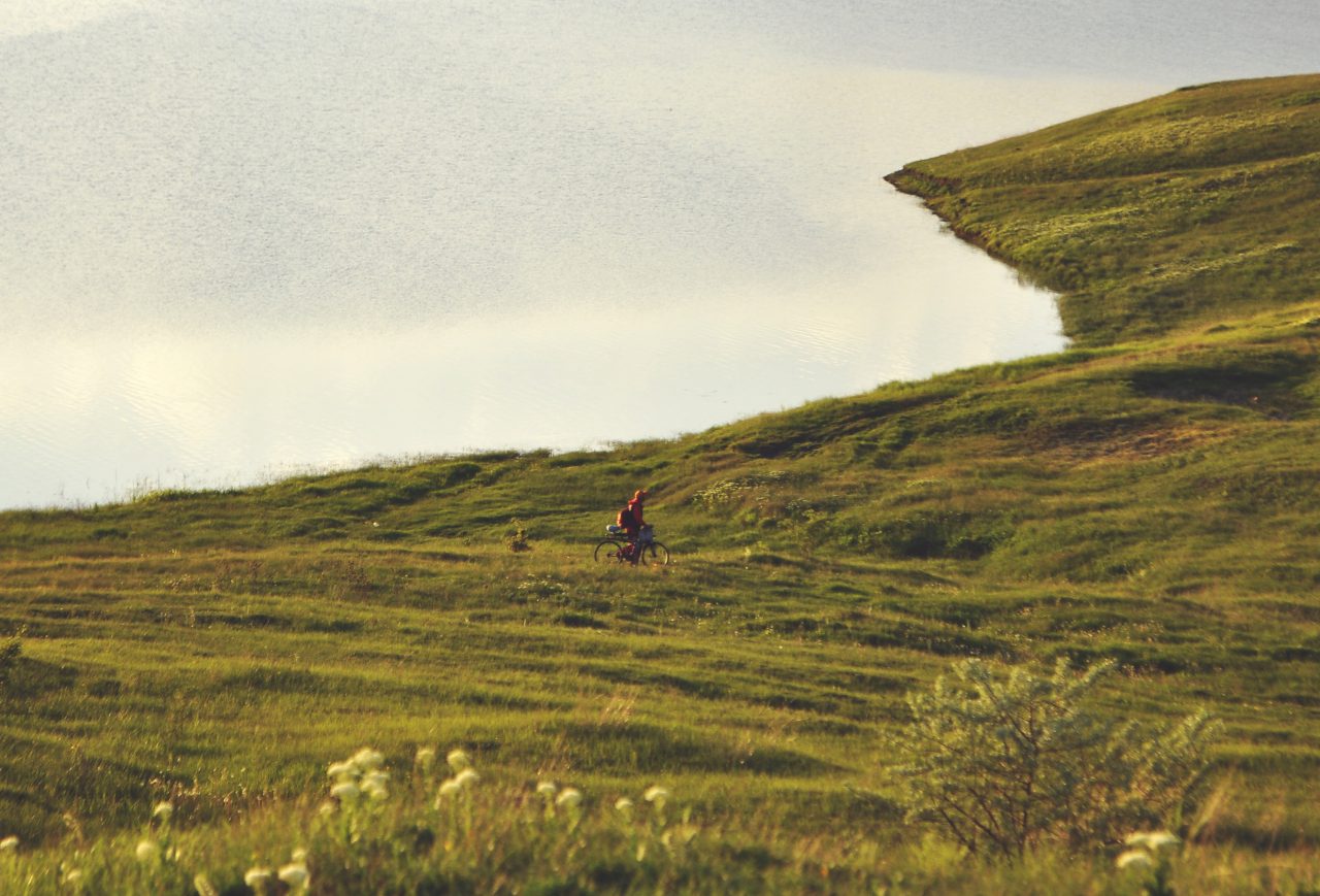 biker in the wilderhood