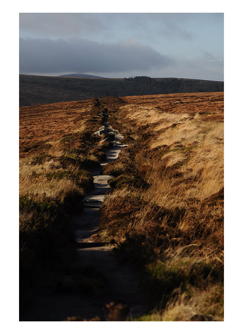 trail dublin mountains raluca turcanasu